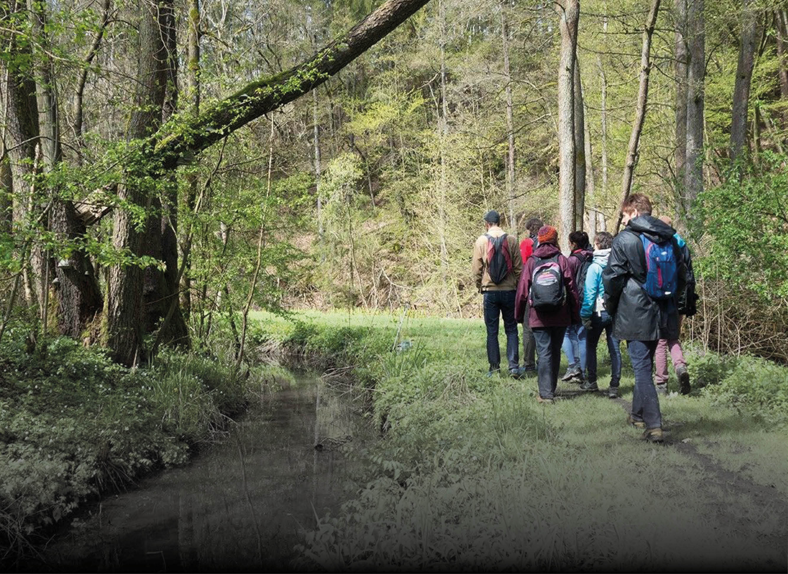 Was wir bieten Bild Work life balance mit Schatten 2000x1457px